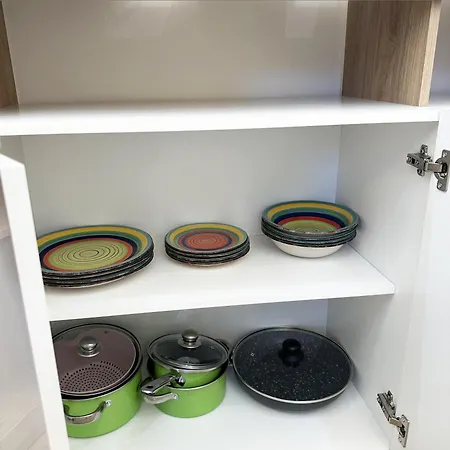 Zeus Group Vatican Roma